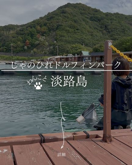 じゃのひれドルフィンファーム｜福良湾でイルカに会える、ドルフィンビューはわんこ同伴OK