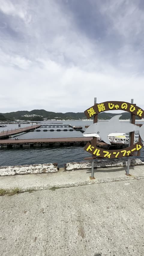 じゃのひれドルフィンファーム ドルフィンビュー（¥550）はペット同伴OK