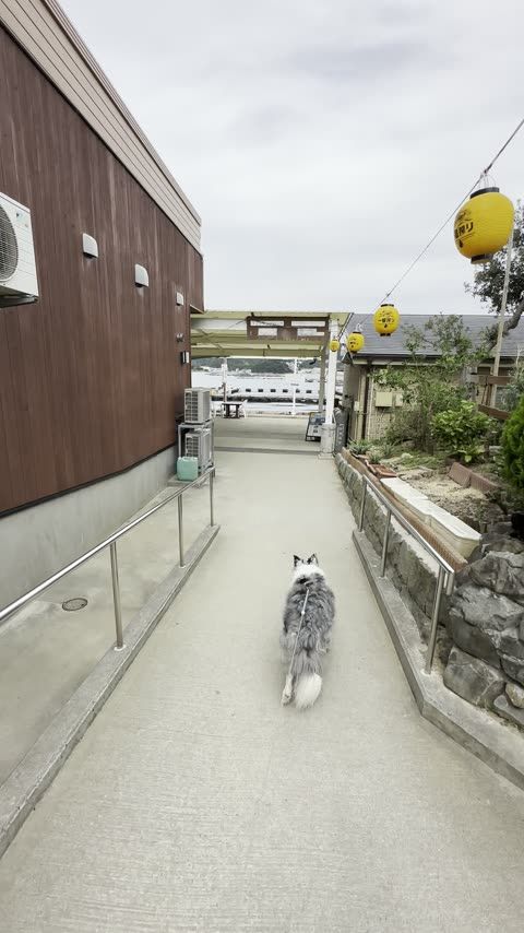 じゃのひれドルフィンファーム 淡路島南端ドライブの寄り道スポット