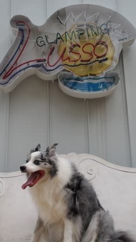 KARIKO RESORT（カリコリゾート）