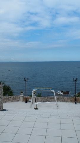 カリコリゾート 南国リゾート風ドッグラン4エリア——ヤシの木と海