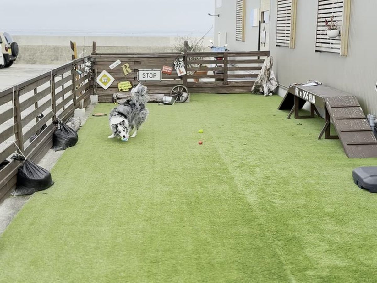 Loki de Awajishima 屋上ドッグラン 人工芝 海 淡路島