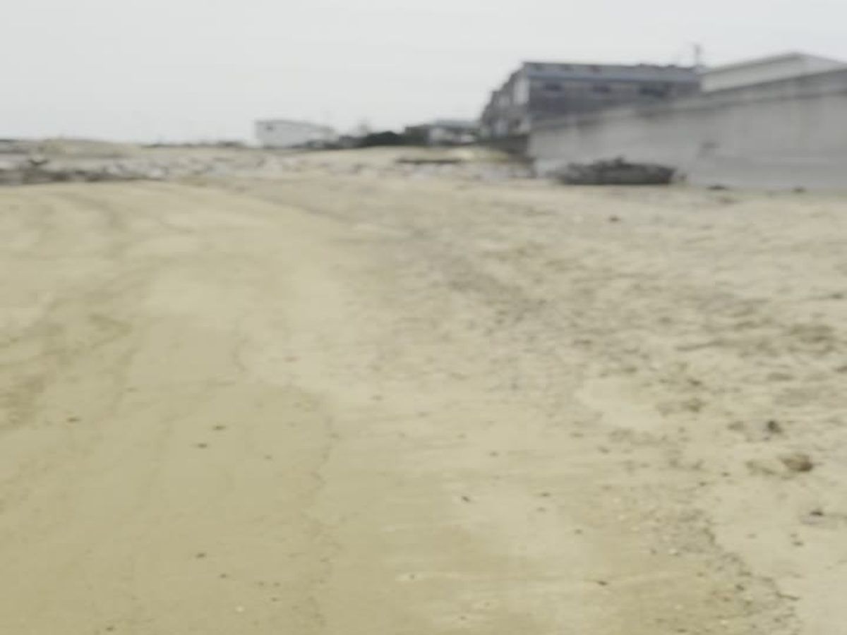 Loki de Awajishima ビーチ 犬連れ 散歩 淡路島