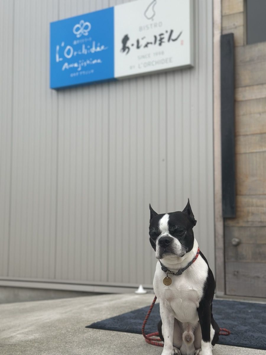 L'Orchidée Awajishima 看板と愛犬
