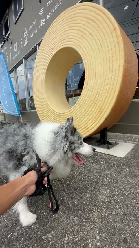 maaru factory 巨大バウムクーヘン型オブジェが目印——淡路島ばぁむ工房