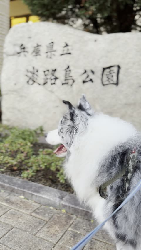 ニジゲンノモリ（淡路島・淡路島公園内）