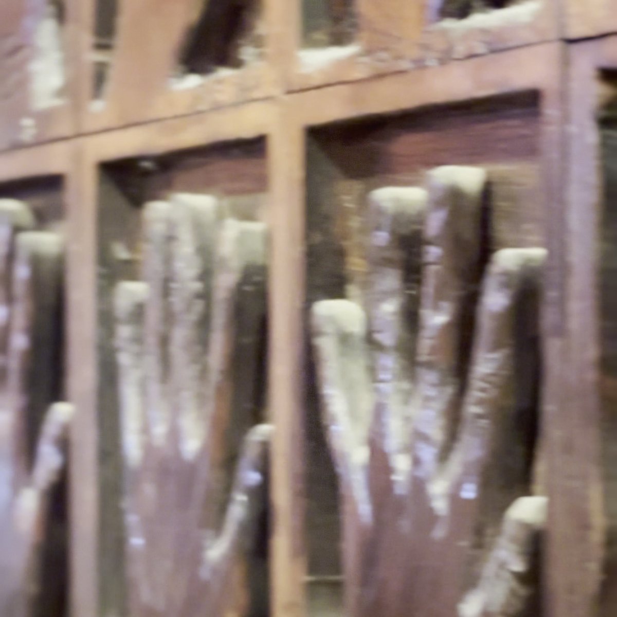 のじまベーカリー 犬 パン 淡路島