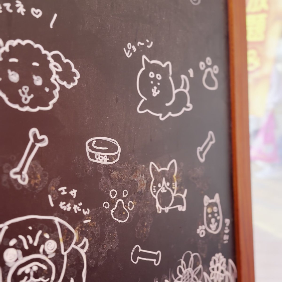 のじまスコーラ ドッグメニュー 黒板 犬用