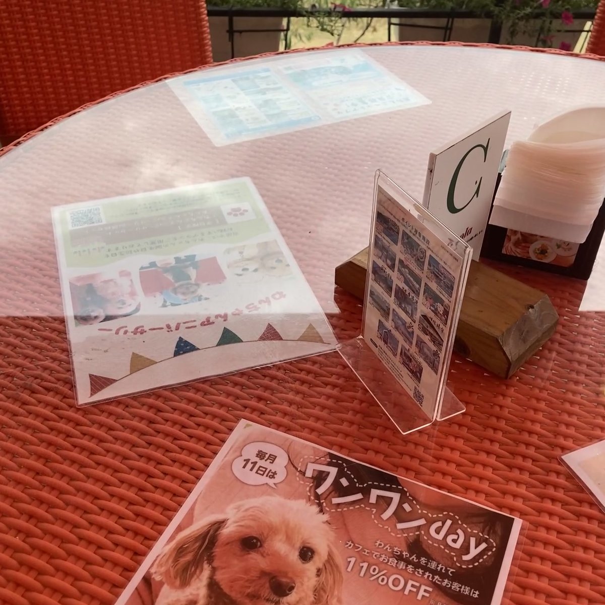 のじまスコーラ カフェメニュー 犬連れ 淡路島