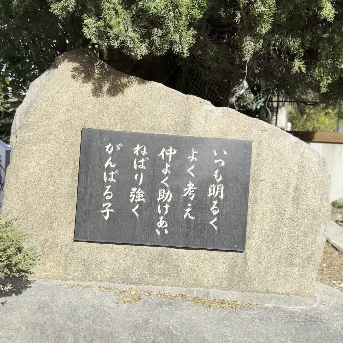 のじまスコーラ 赤い屋根 校舎