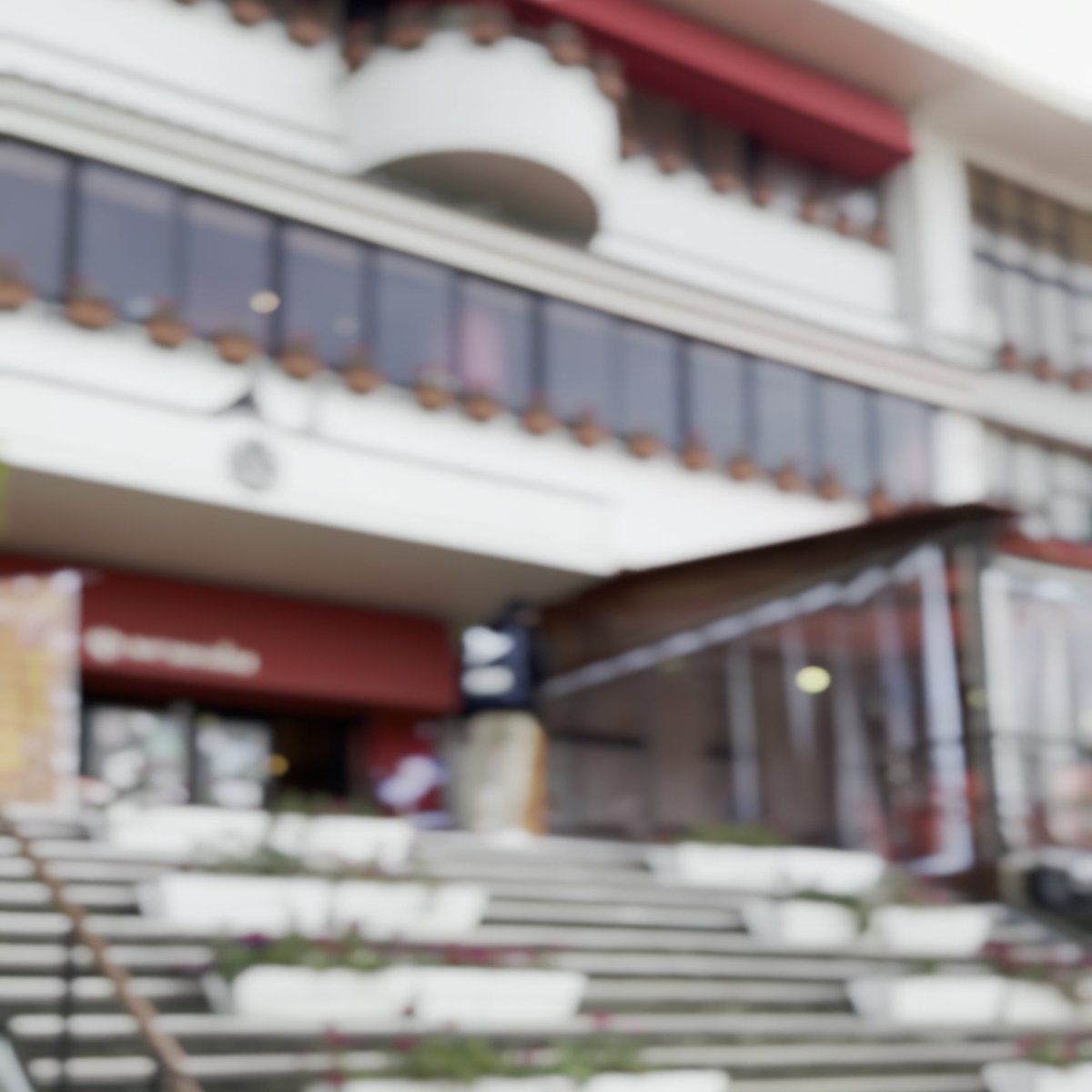 のじまスコーラ 淡路島 犬連れOK 廃校リノベーション 複合施設 スポット紹介 No.69