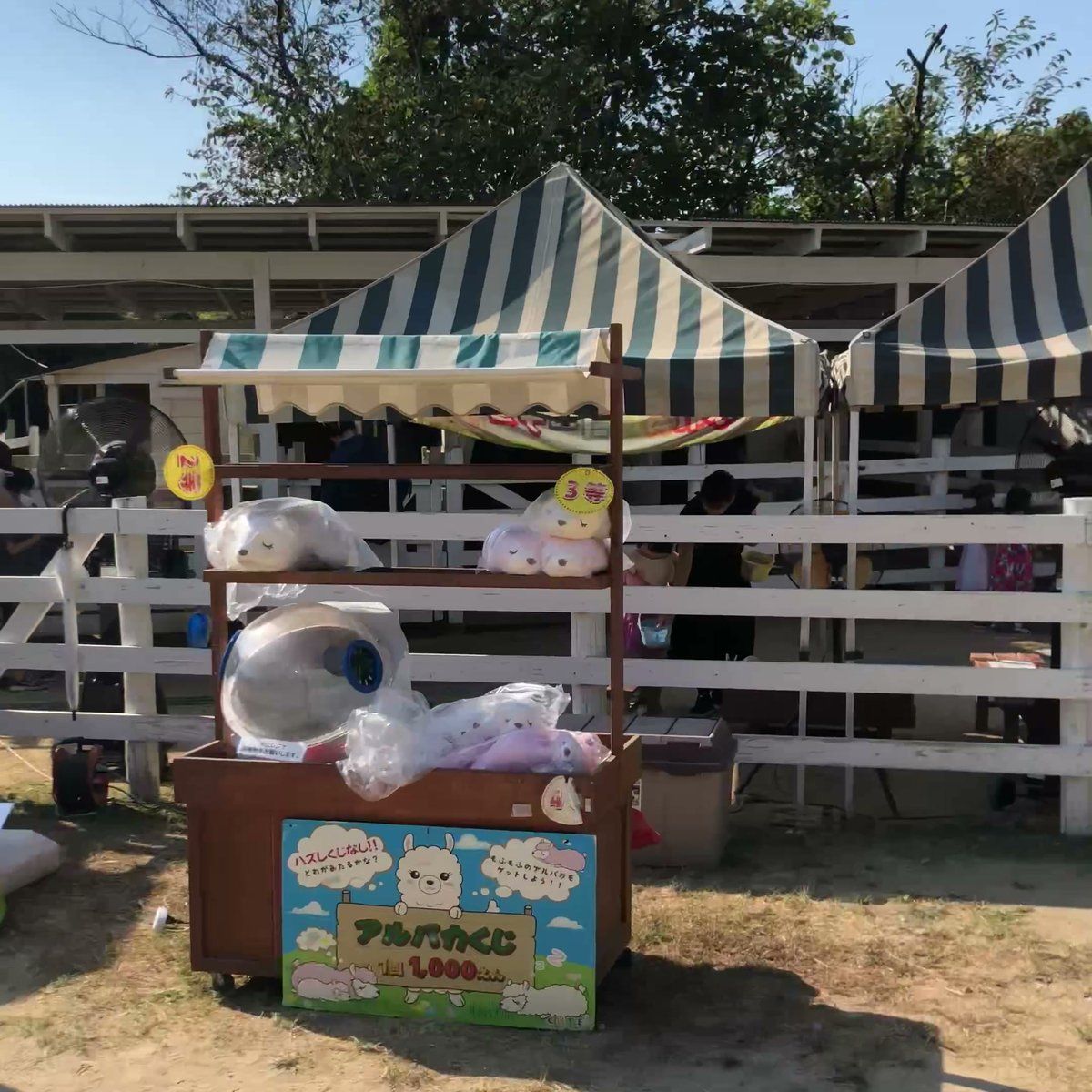 のじま動物園 ヤギ