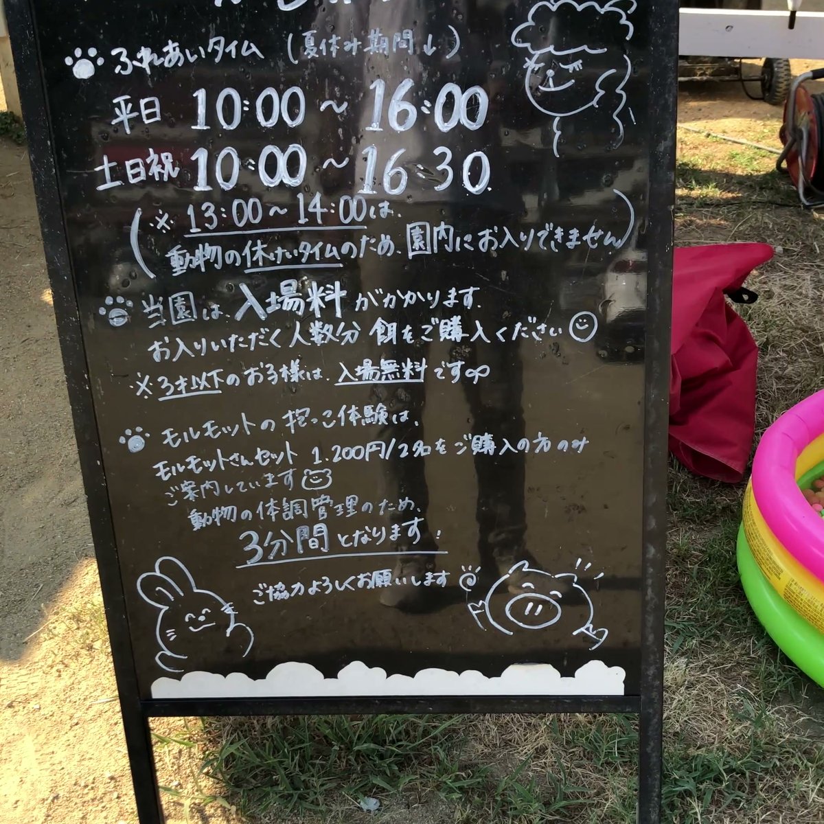のじま動物園 営業時間 黒板