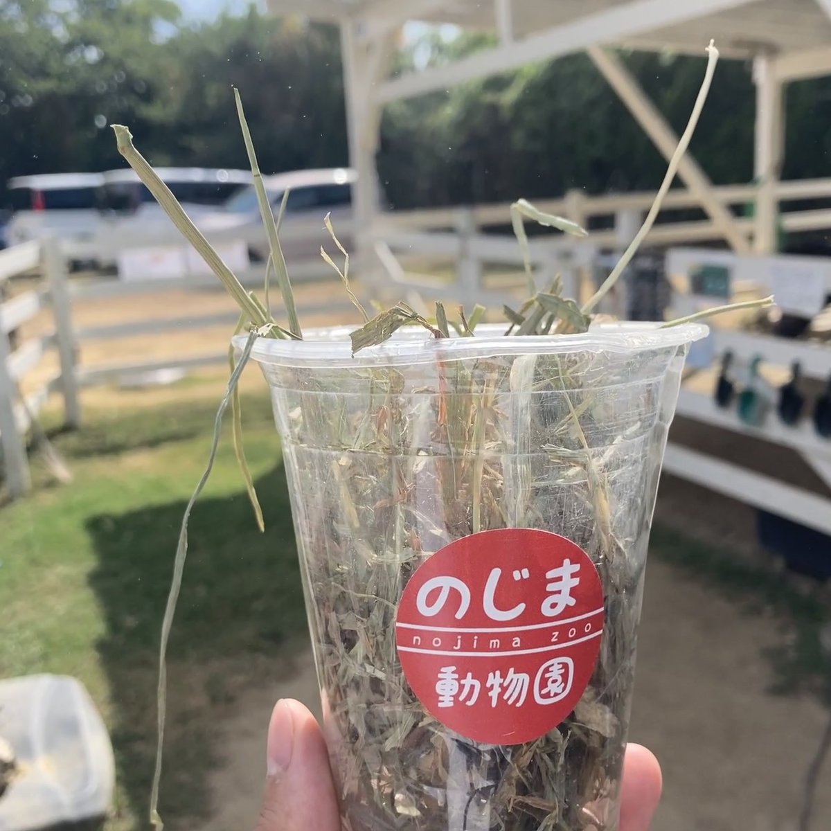 のじま動物園 看板 のじまスコーラ