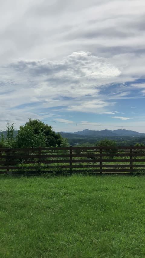 看板犬3頭との共生・ドッグラン利用ルール