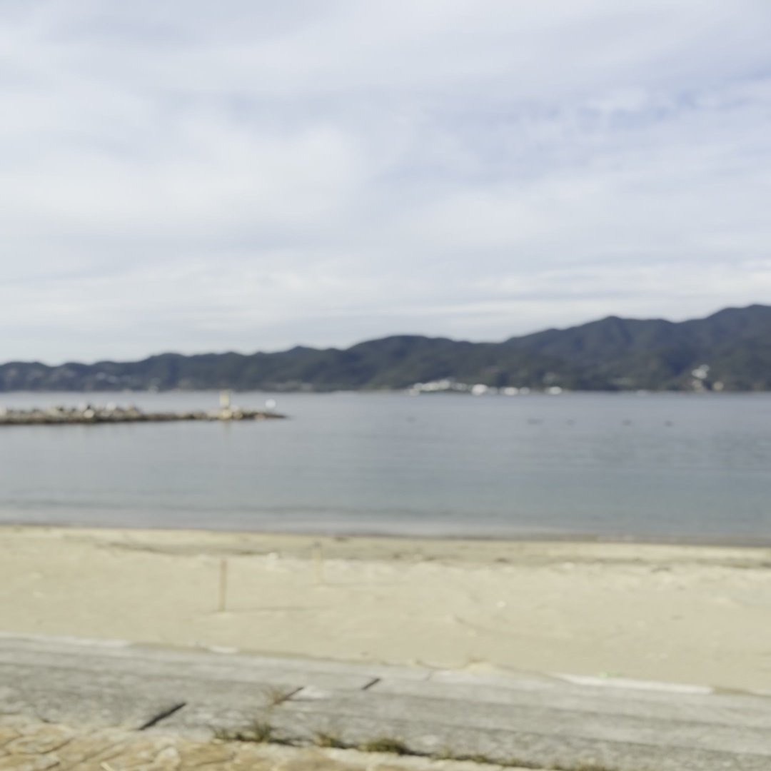 沼島海水浴場で海を見るわんこ