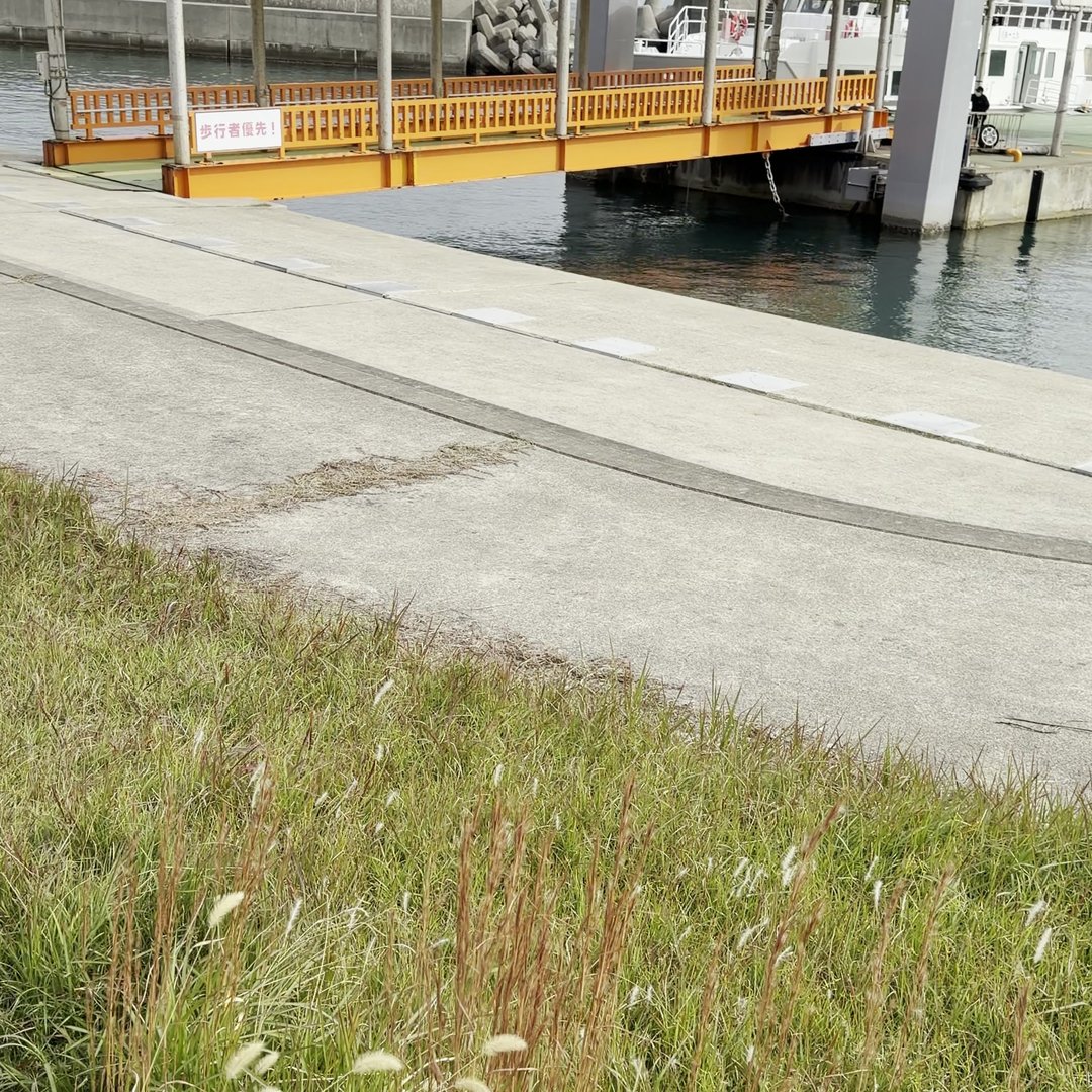 沼島汽船フェリー乗り場でわんこと待機