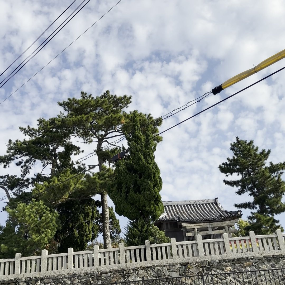 沼島八幡神社の参道入口・松の木と鳥居