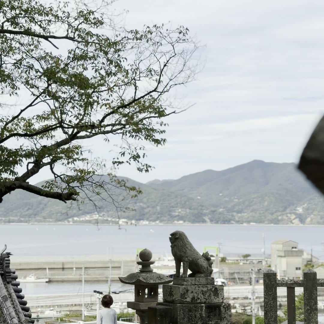 八幡神社の境内から港と海を見下ろす絶景