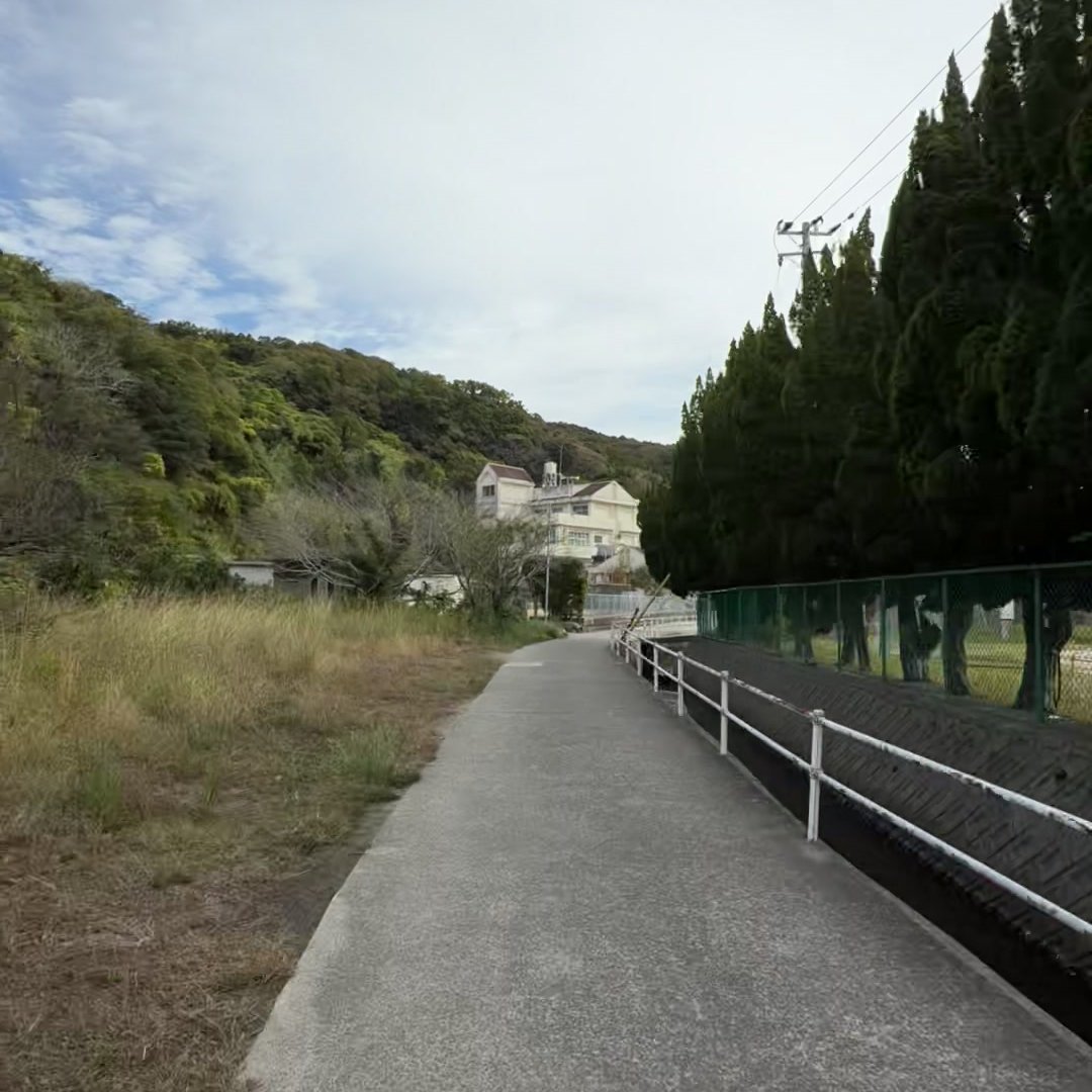 沼島の道をわんこと一緒に歩く