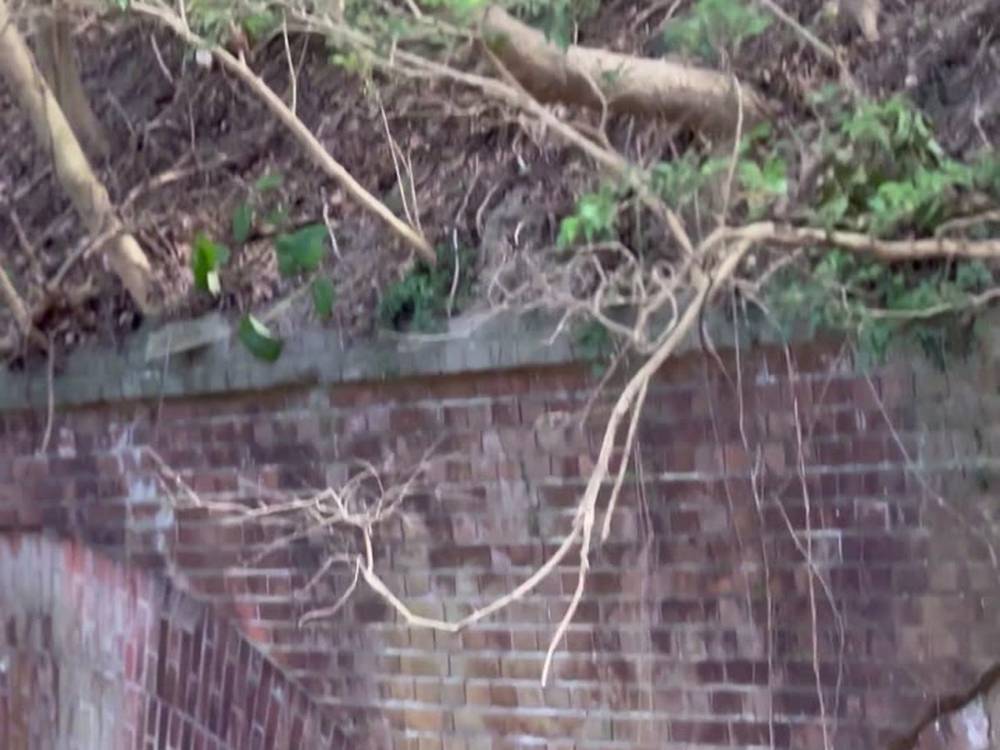 生石公園 煉瓦トンネル 由良要塞跡 歴史散策