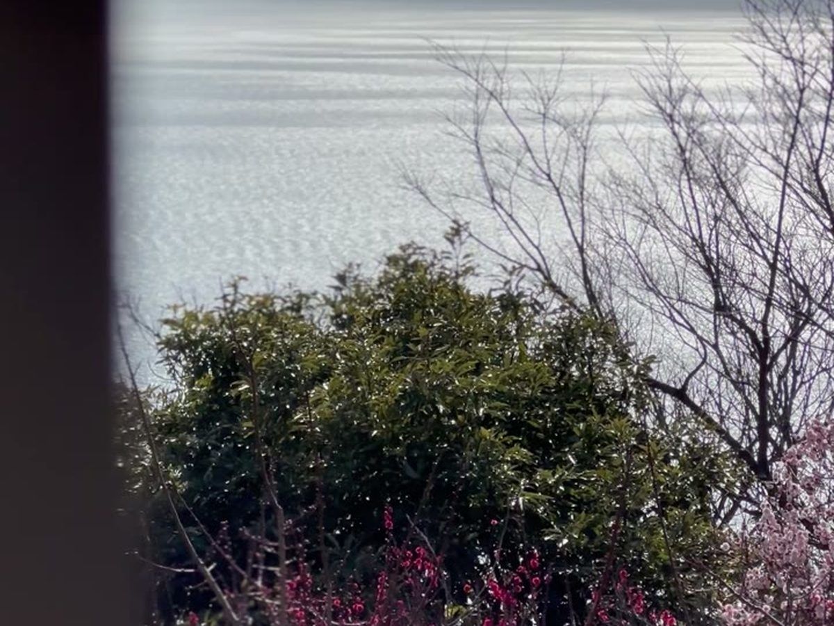 生石公園 瀬戸内海 海景 春の花 桜