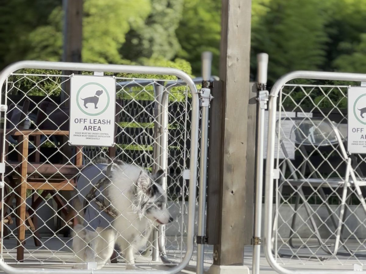 オロチュロ 専用ドッグブース OFF LEASH AREA ノーリード 淡路島 犬連れカフェ