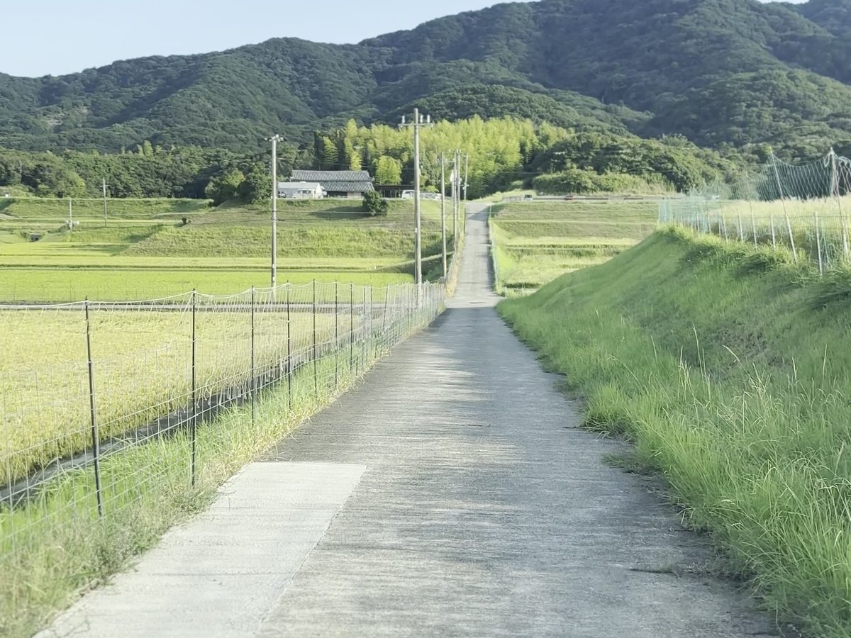 オロチュロ アクセス 田んぼ道 淡路島 おすすめルート