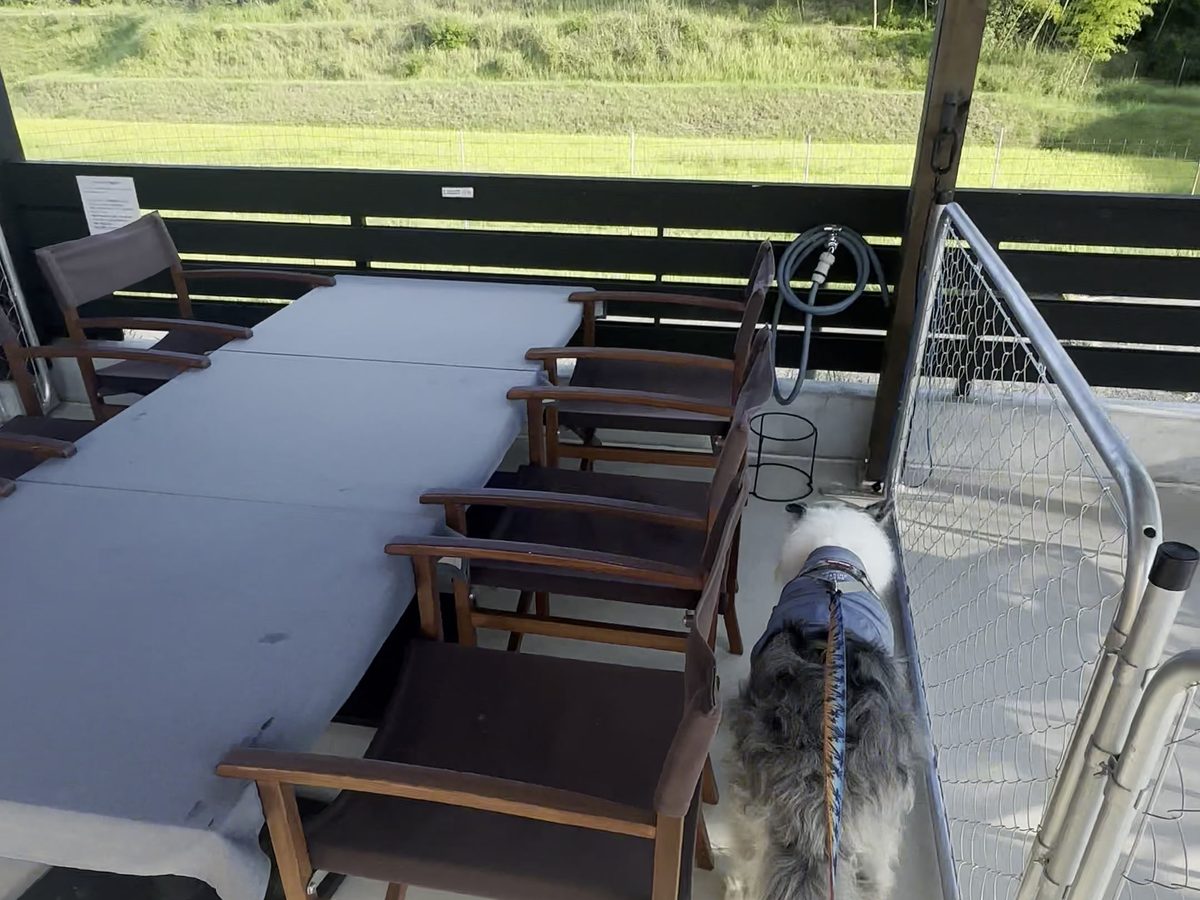 オロチュロ テラス席 竹やぶ 犬連れ 淡路島