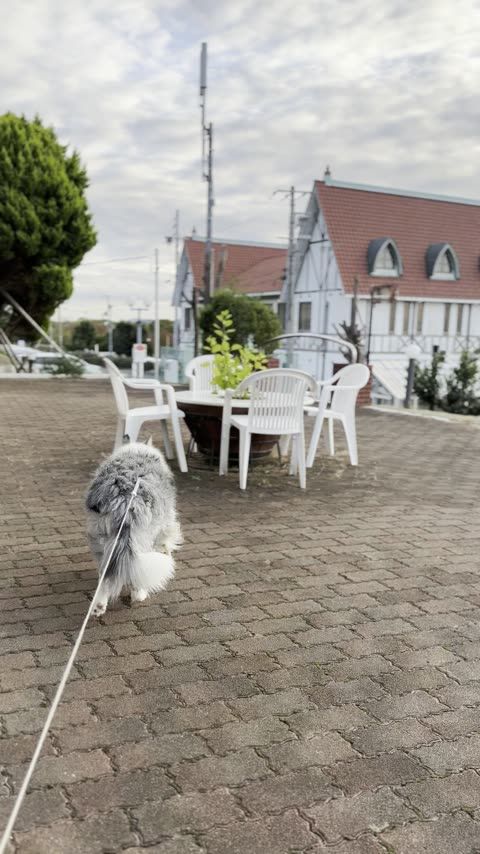 パルシェ香りの館 淡路島の高台で香りに包まれるテーマパーク