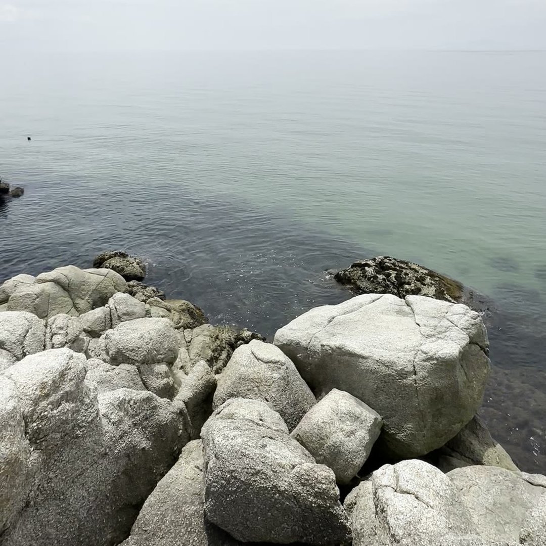 明神岬 播磨灘 奇岩 犬連れ 淡路島西海岸