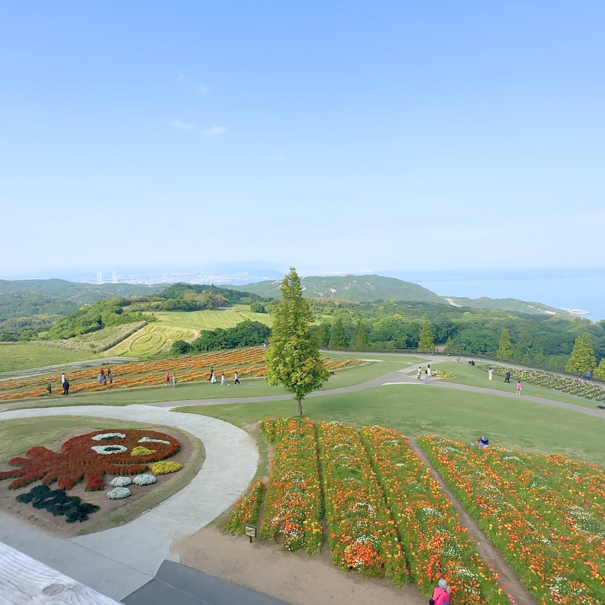 あわじ花さじき 犬連れ 花畑