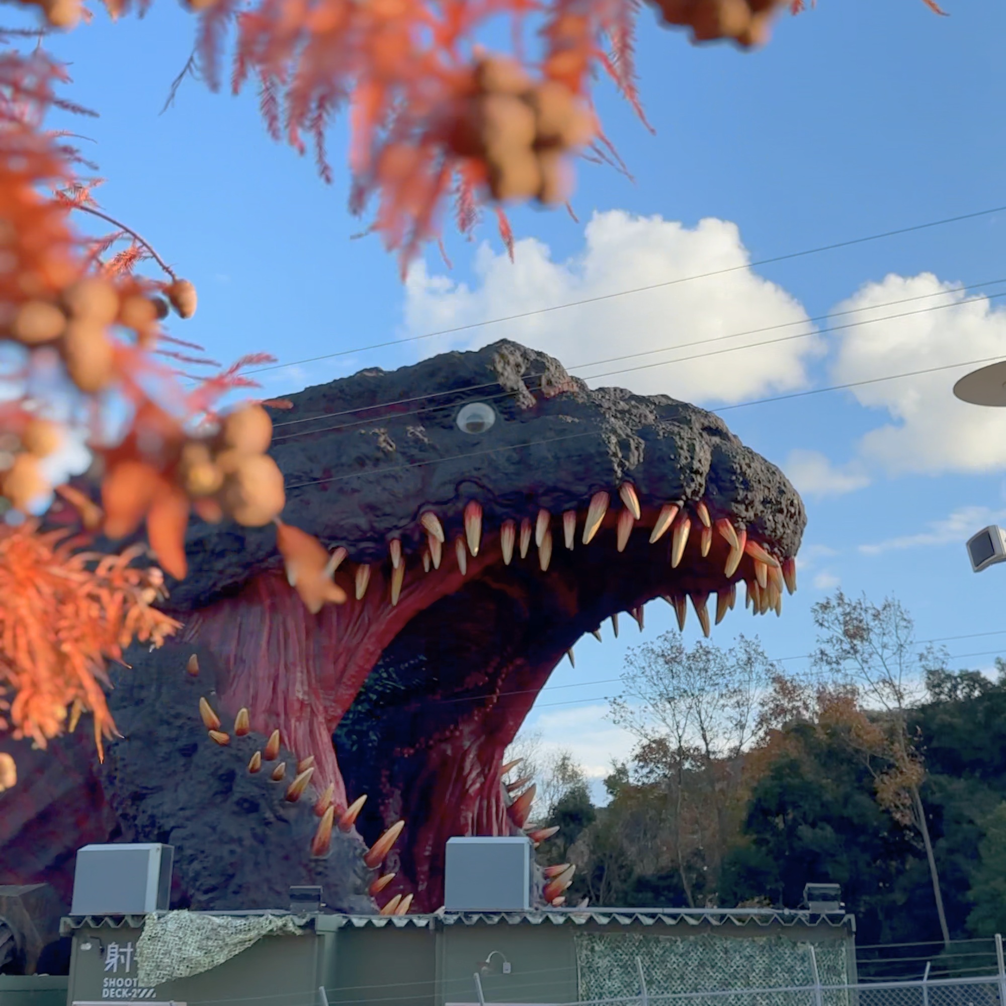 ニジゲンノモリ 犬と散歩 淡路島
