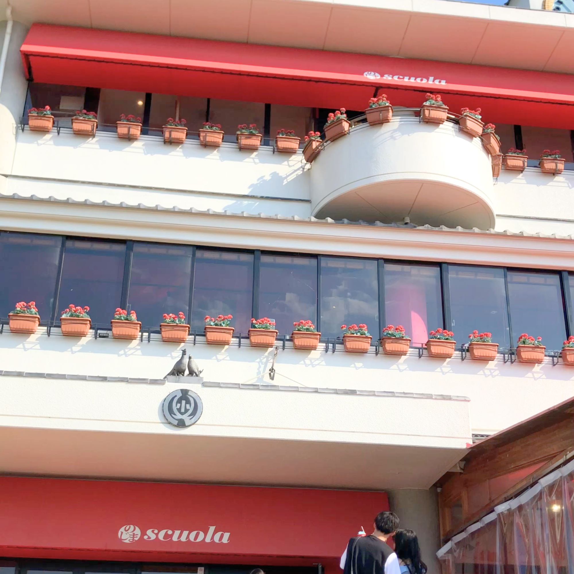 のじまスコーラ 犬連れカフェ テラス