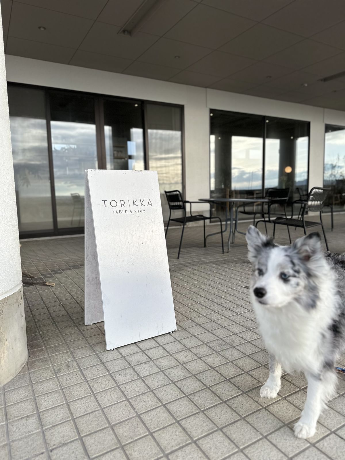 TORIKKA TABLE 元・海の家リノベ、淡路産素材のイタリアン