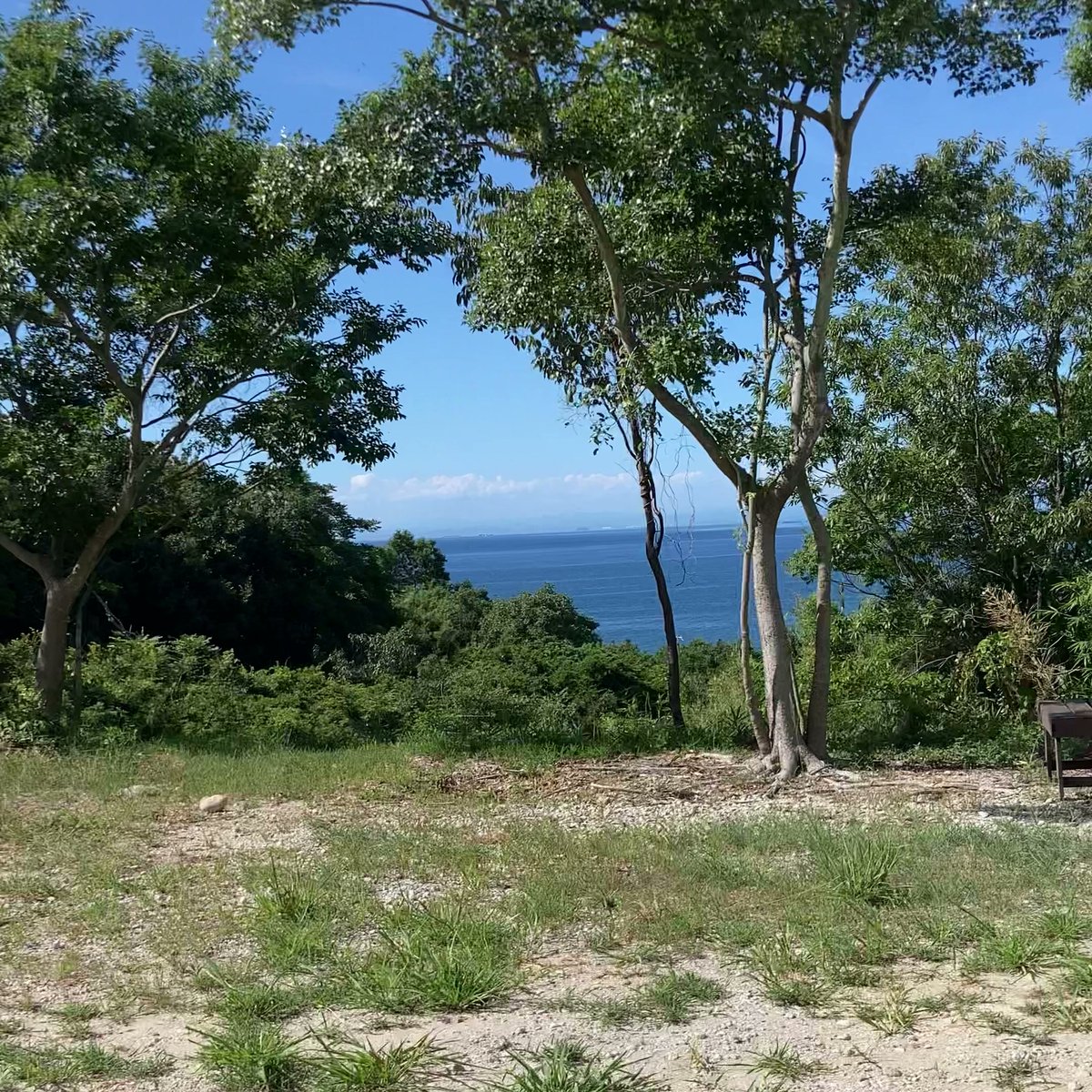 坂道茶家つきよみ 海を望む景色 木々