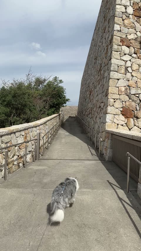 若人の広場公園 戦没学徒記念施設——静かに歩く大人の散策地