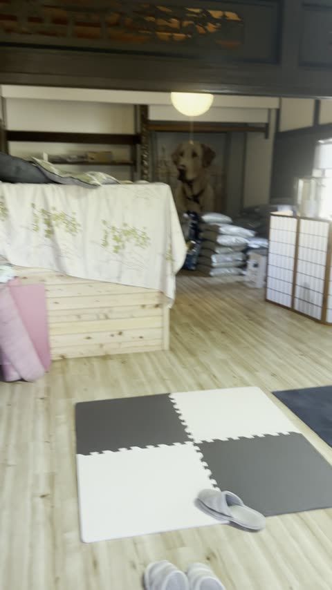 わんにゃん道場（淡路島本院）