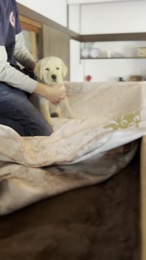 わんにゃん道場 米ぬか酵素風呂——飼い主と愛犬が一緒に入れる癒しの時間