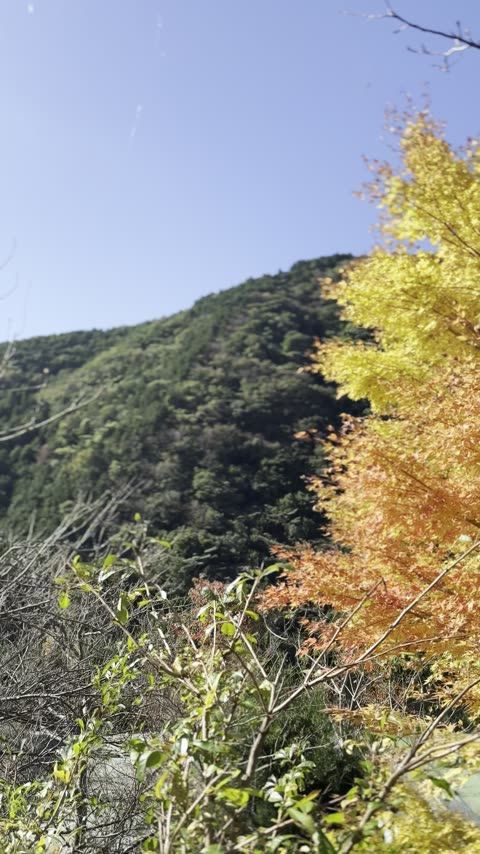 諭鶴羽ダム公園