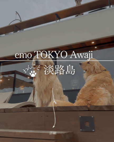 emo TOKYO Awaji（焚き火カフェ エモトーキョー淡路）｜夕日と焚き火の非日常カフェ【淡路と犬 No.80】