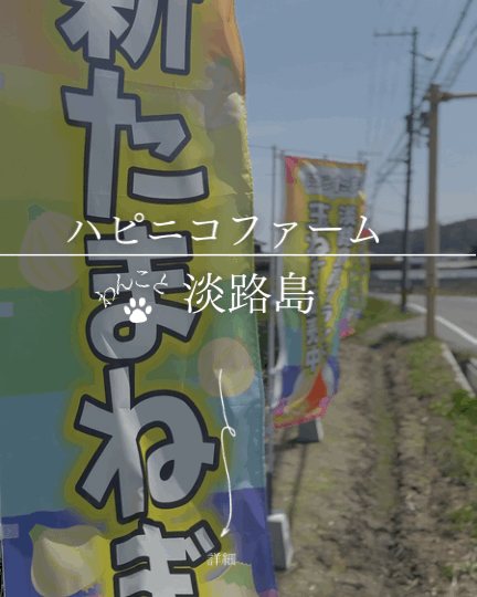 Awaji ハピニコファーム｜淡路島の新玉ねぎ収穫体験ができる農園【淡路と犬 No.81】