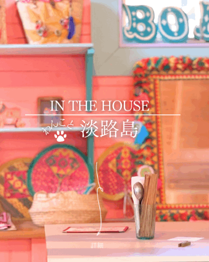 淡路島の隠れ家ボヘミアンカフェ「IN THE HOUSE」大型犬も室内OK！ドッグラン完備の犬連れ完全ガイド