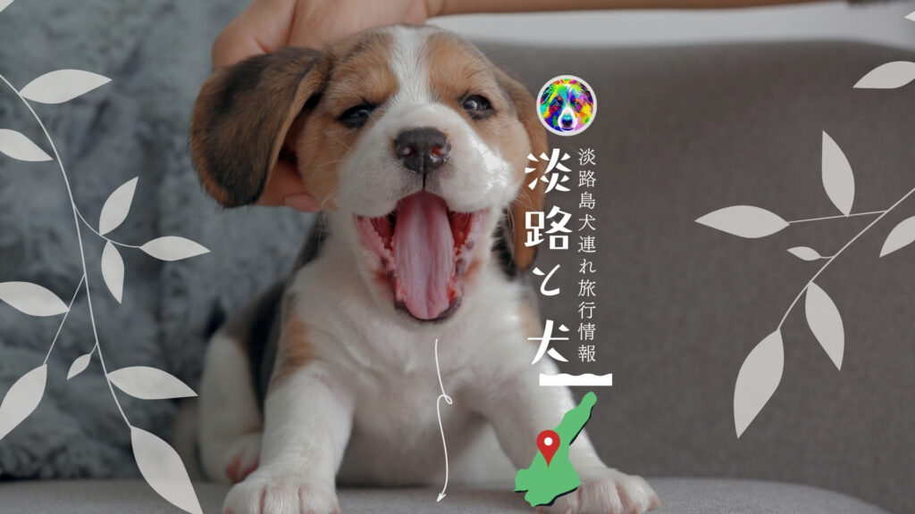 淡路と犬 淡路島犬連れ旅行情報