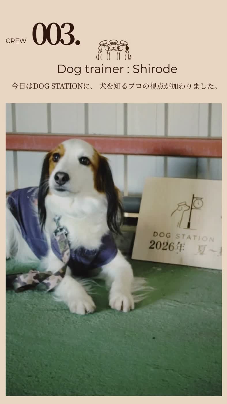 DOG STATION のクルー紹介。木彫りの駅犬のプレートが並ぶ