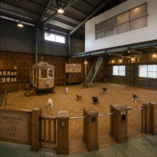 DOG STATION 室内ドッグラン 完成イメージ