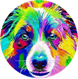 淡路と犬 プロフィール画像