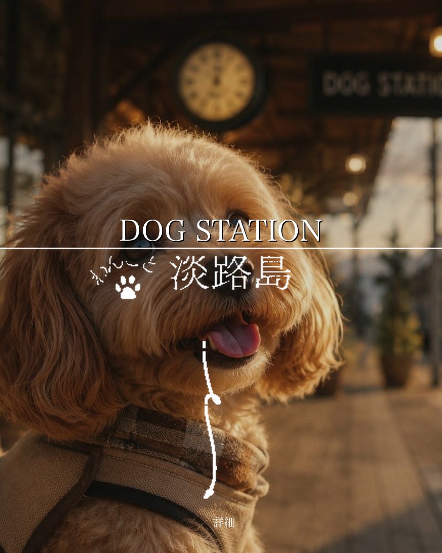 DOG STATION｜淡路島・南あわじ市の全天候型室内ドッグラン 2026年10月3日開業