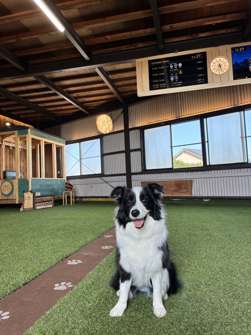 DOG STATION｜淡路島・南あわじの室内ドッグラン、犬連れカフェとセルフシャンプー・タフティング体験