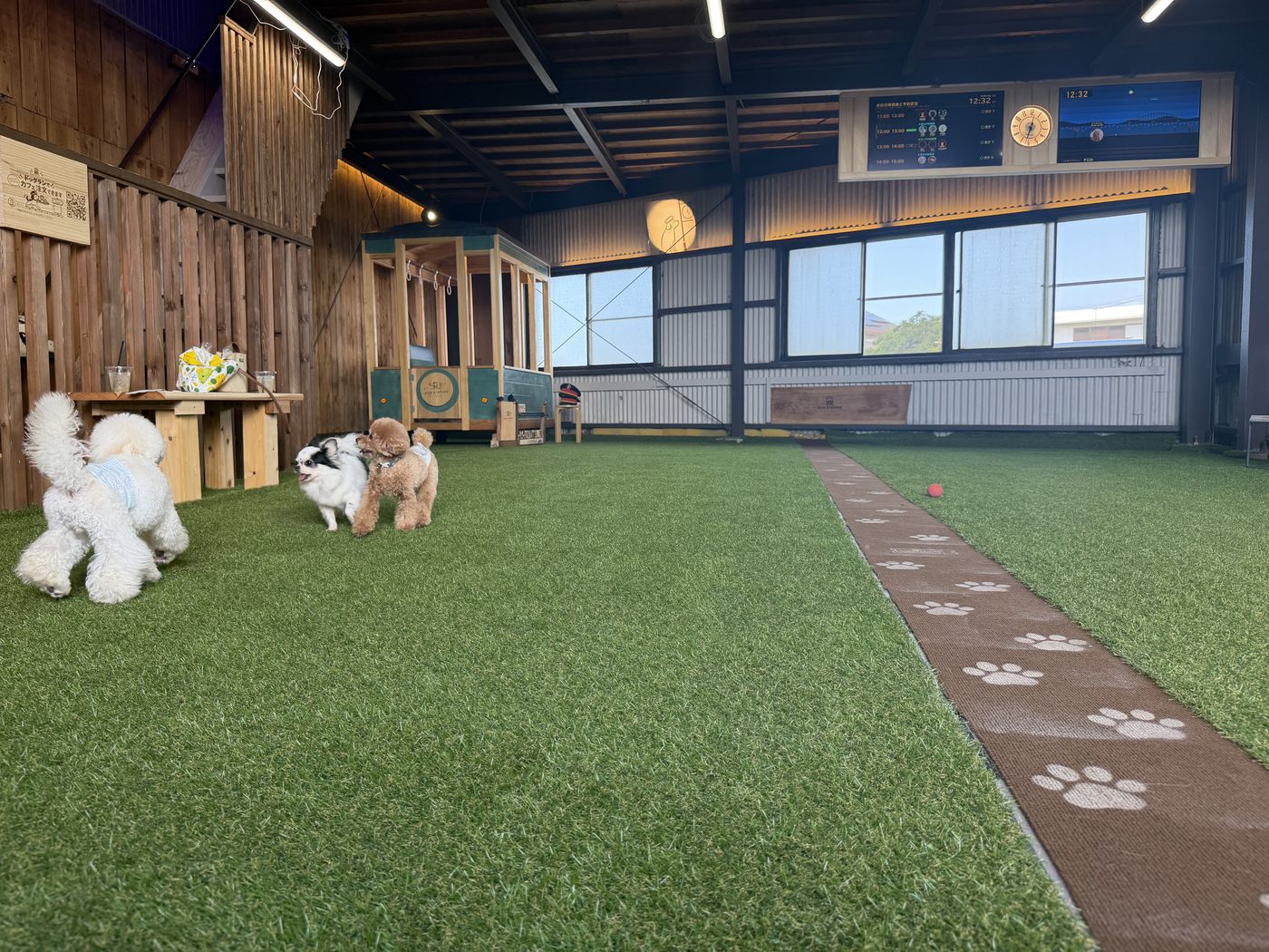 DOG STATION